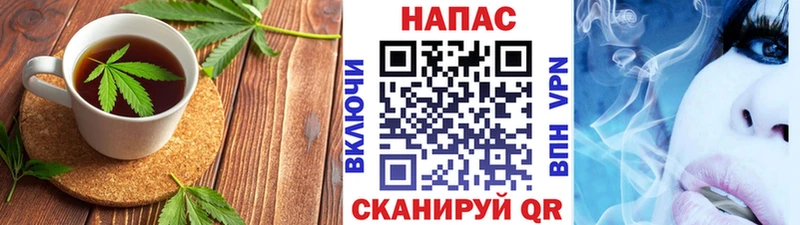 hydra ССЫЛКА  Заинск  Canna-Cookies конопля  цена наркотик 