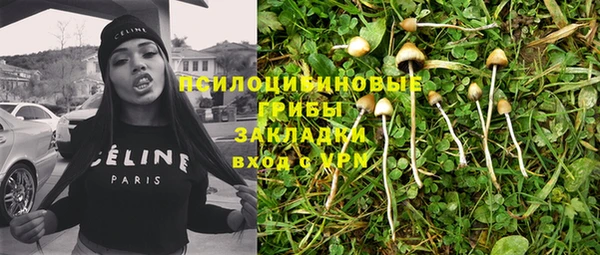 тгк Арсеньев