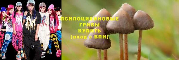 герыч Белая Холуница
