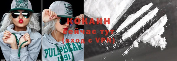 шишки Бежецк
