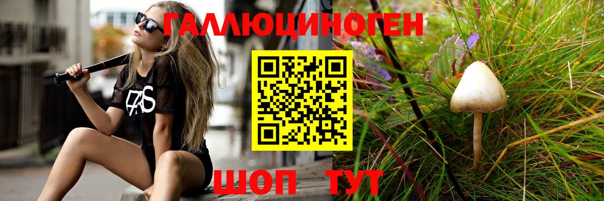 Галлюциногенные грибы MAGIC MUSHROOMS  Вход с VPN  Псилоцибиновые грибы Psilocybine cubensis  Заинск 